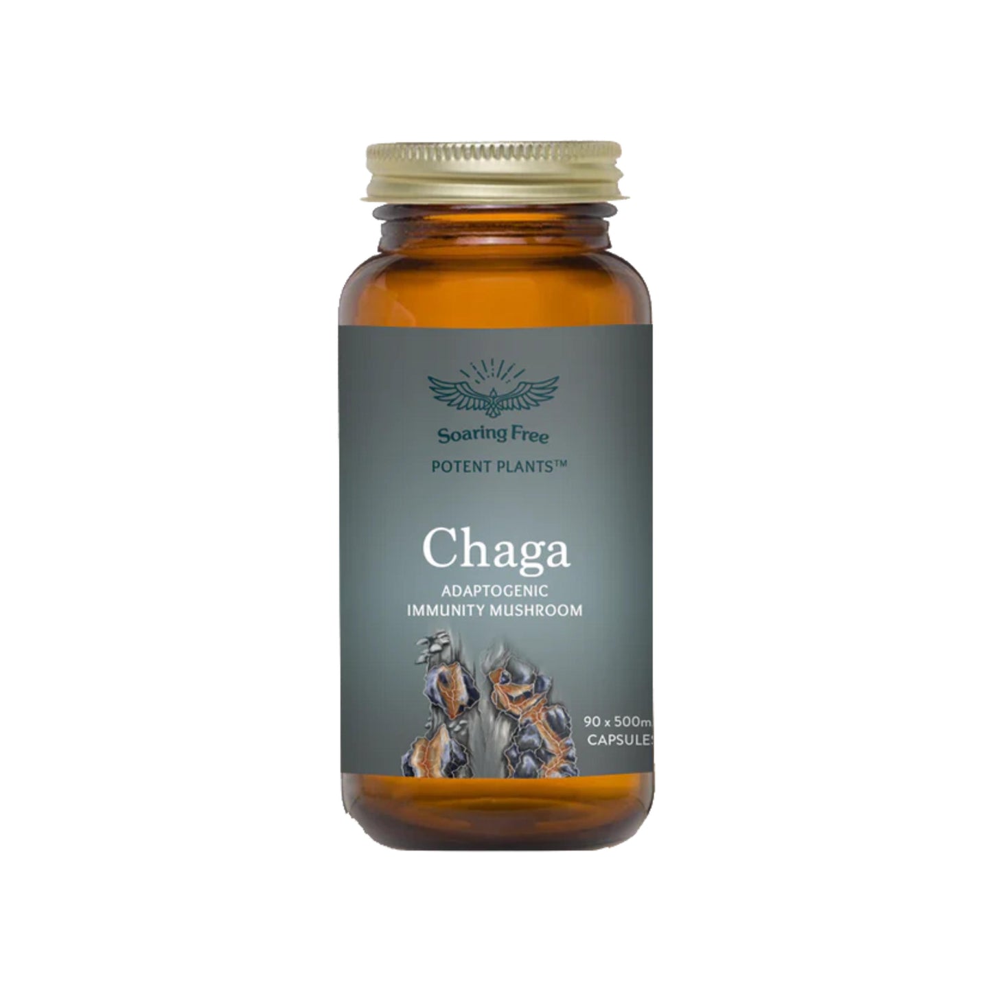 Soaring Free Chaga Mushroom Capsules - 90 caps
