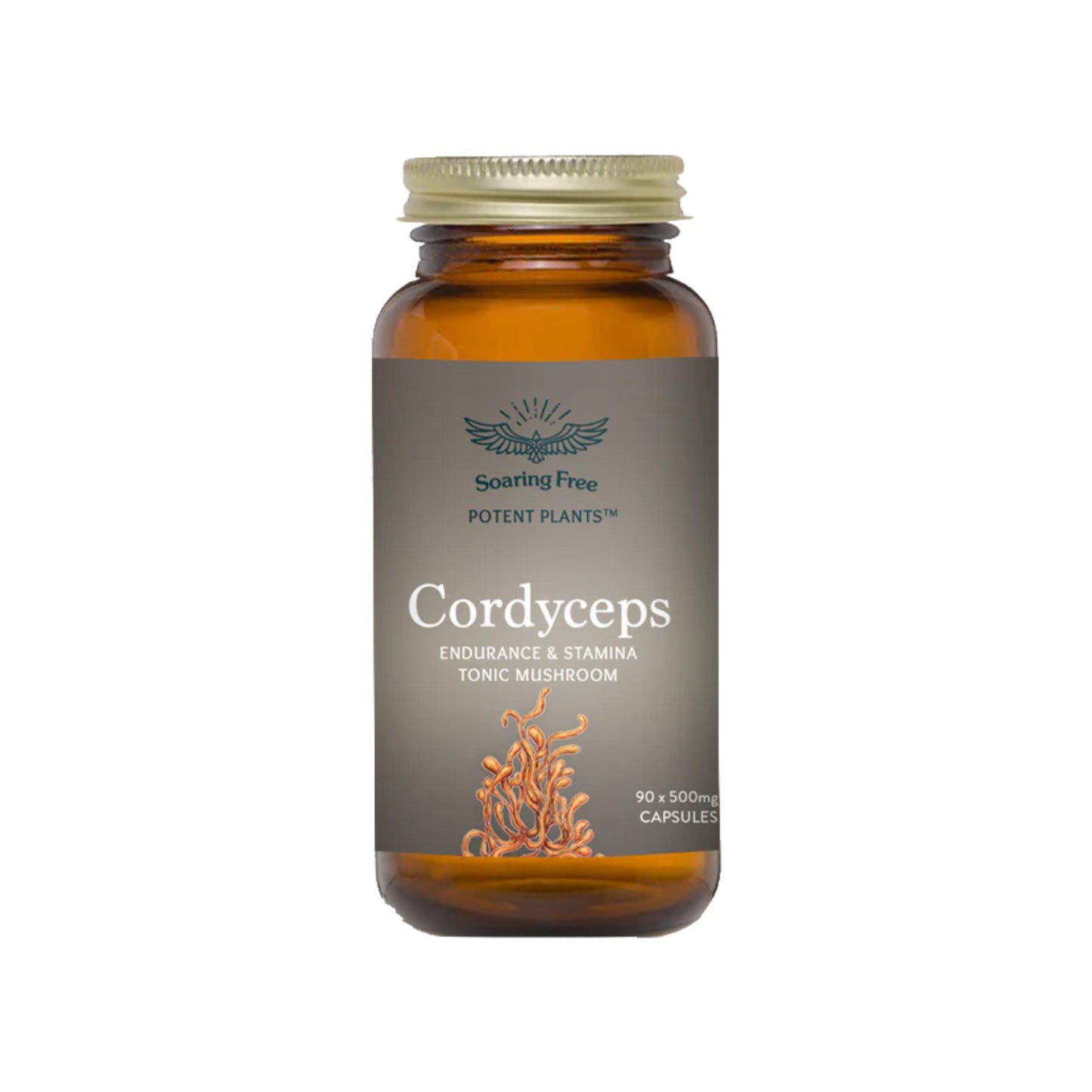 Soaring Free Cordyceps Mushroom Capsules - 90 caps