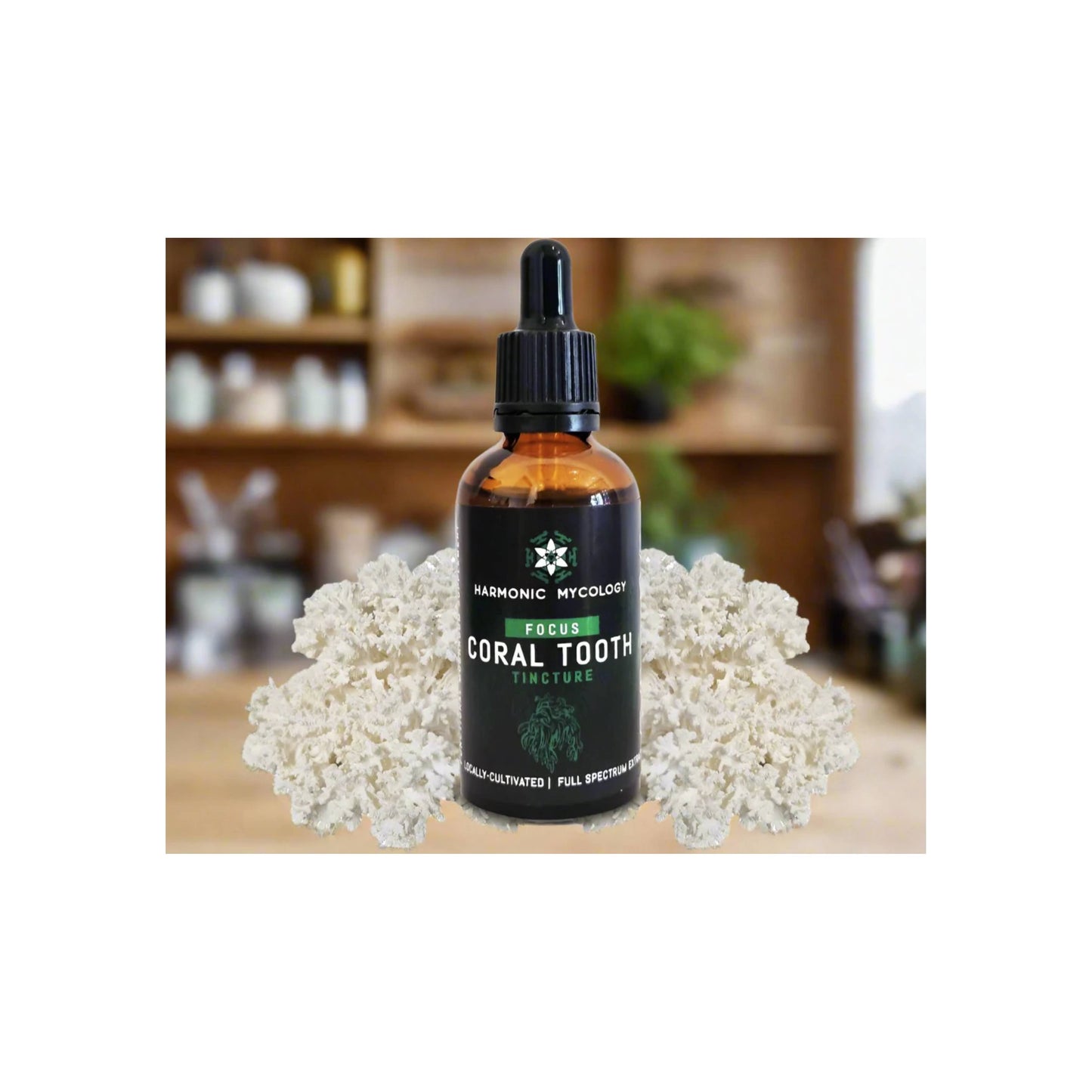 Harmonic Mycology Coral tooth Ultrasonic-Extract 50ml