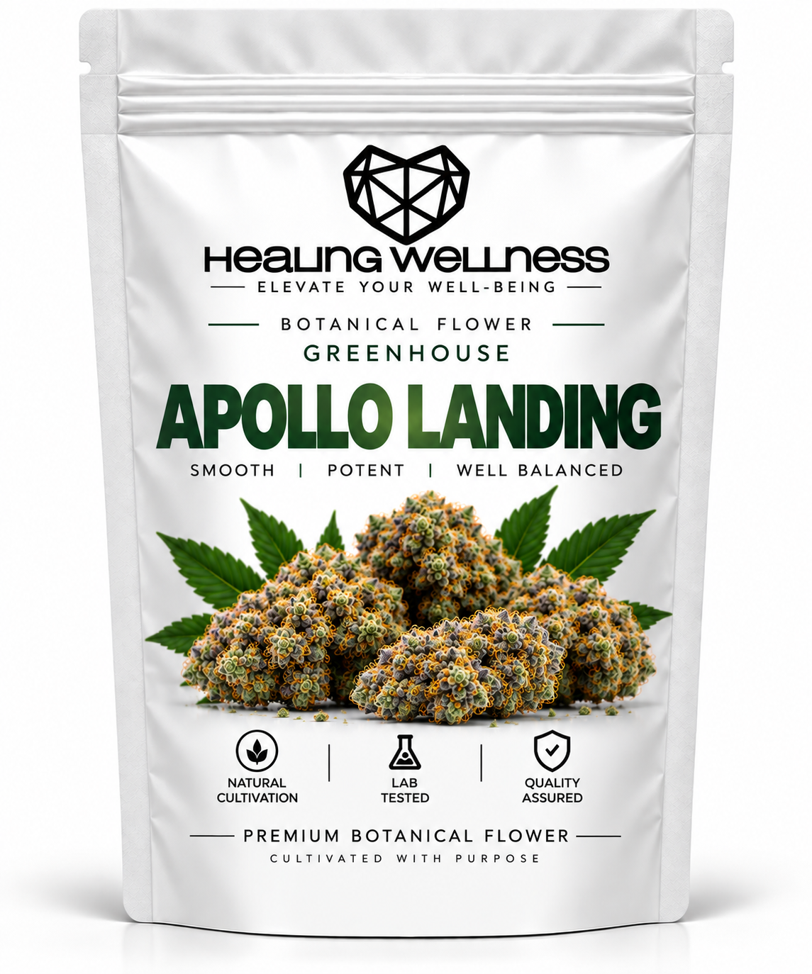 Apollo Landing