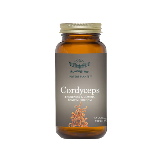 Soaring Free Cordyceps Mushroom Capsules - 90 caps